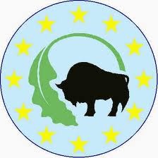 logotyp Euroregionu